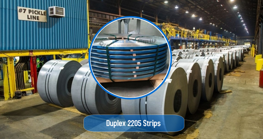 Duplex 2205 Strips